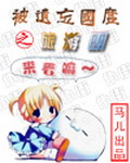 《被遗忘国度之旅游团》作者：流浪的马儿