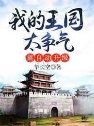 《我的王国太争气，能自动升级》作者：华长空