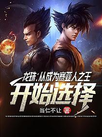 《龙珠：从成为赛亚人之王开始选择》作者：当仁不让