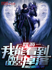 《我能看到所有BOSS掉落》作者：南边雨落