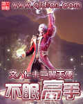 《不眠高手》作者：七十二翼天使