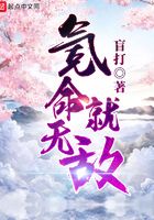 《氪命就无敌》作者：盲打