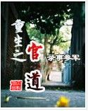 重生之官道（下）