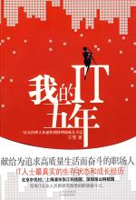 我的IT五年