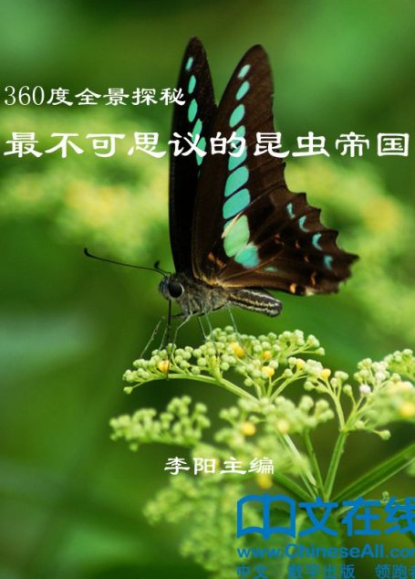 360度全景探秘:最不可思议的昆虫帝国 (374度全景探秘)