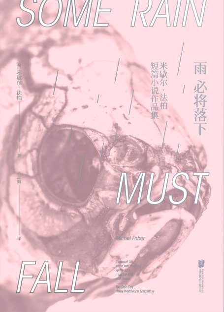 雨必将落下（拒绝参选布克奖的天才小说家惊艳文坛之作，出版20年数度再版。有些雨必将落下，有些日子注定阴暗惨淡。） (未读·文艺家)