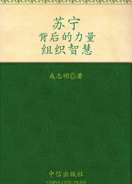 苏宁:背后的力量(组织智慧)