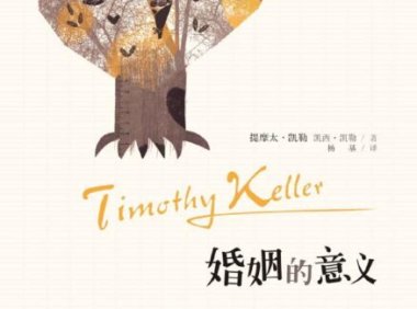 《婚姻的意义》完全阅读指南：7步轻松掌握蒂姆·凯勒的婚姻智慧