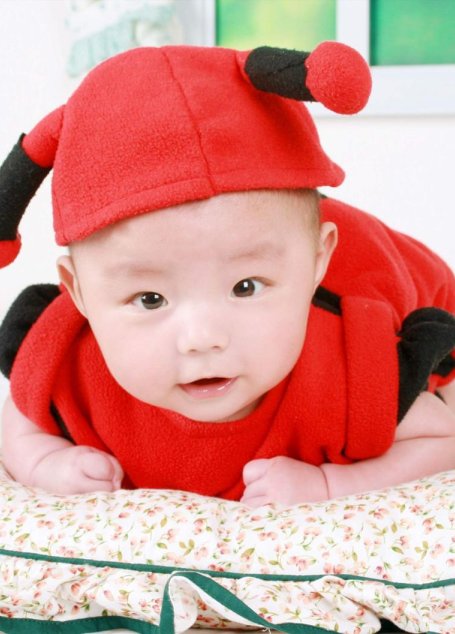 四季养生保健全书