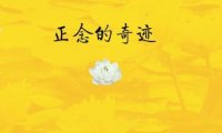 《正念的奇迹》完全阅读指南：5个步骤轻松掌握一行禅师的核心智慧