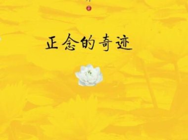 《正念的奇迹》完全阅读指南：5个步骤轻松掌握一行禅师的核心智慧
