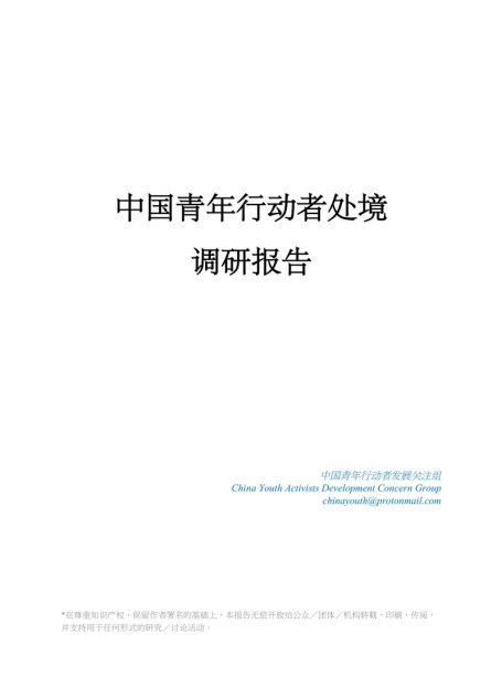 中国青年行动者处境调研报告