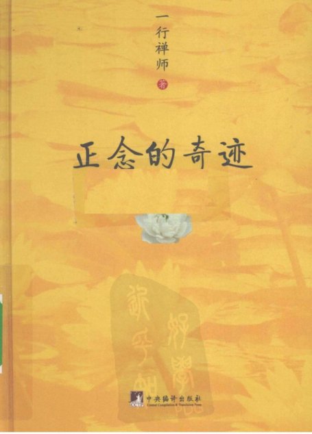 正念的奇迹