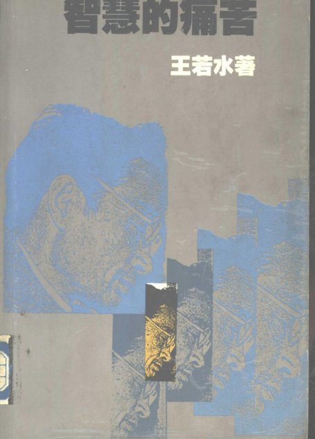 智慧的痛苦