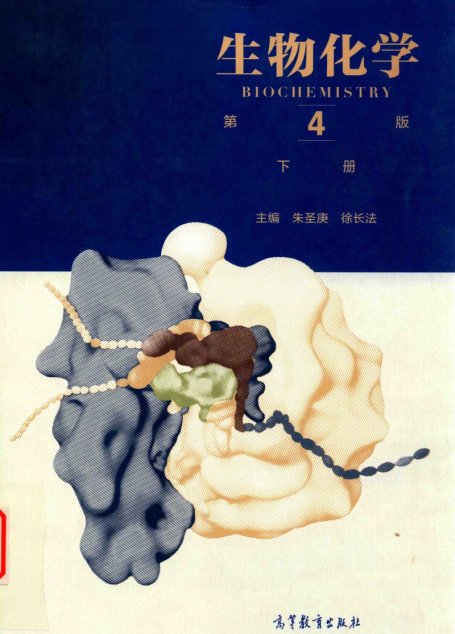 生物化学下册