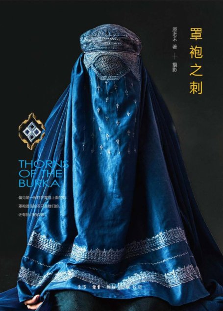 罩袍之刺(前半)