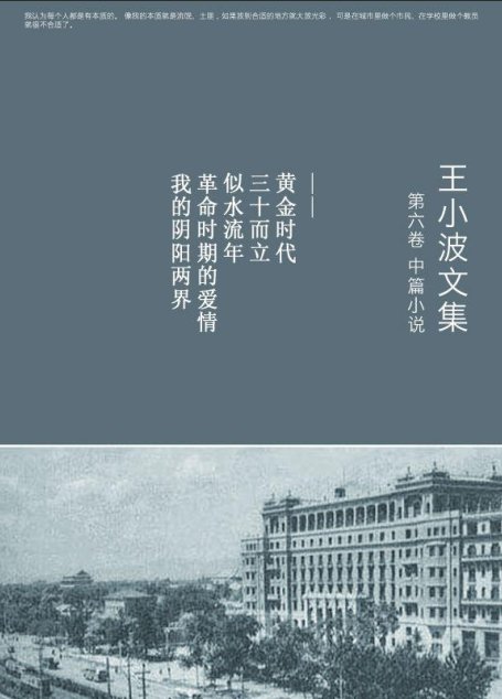 王小波文集.第六卷