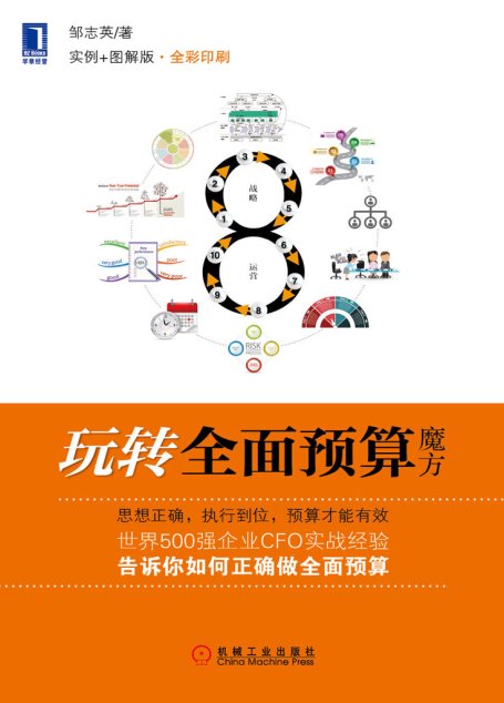 玩转全面预算魔方（实例+图解版）