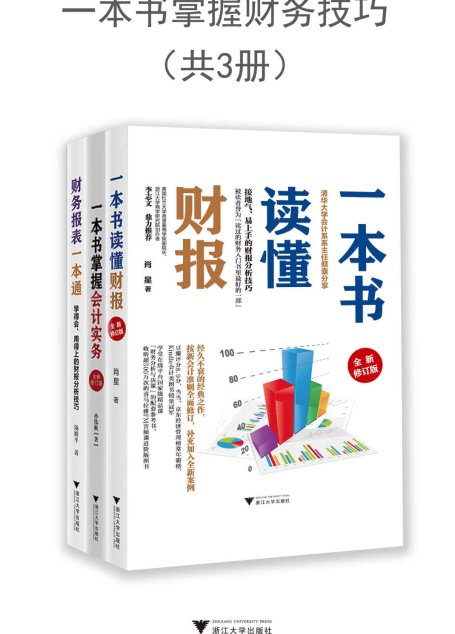 一本书掌握财务技巧（套装共3册）