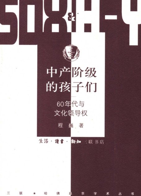 中产阶级的孩子们
