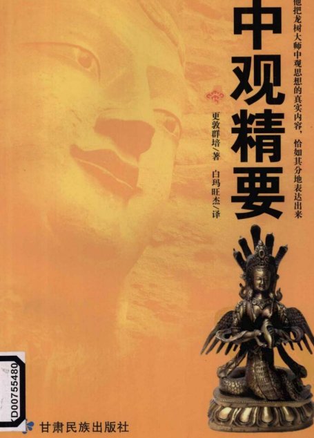 中观精要