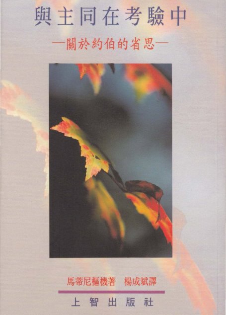 與主同在考驗中—關於約伯的省思