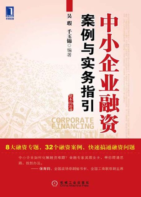 中小企业融资:案例与实务指引 (资本的游戏)