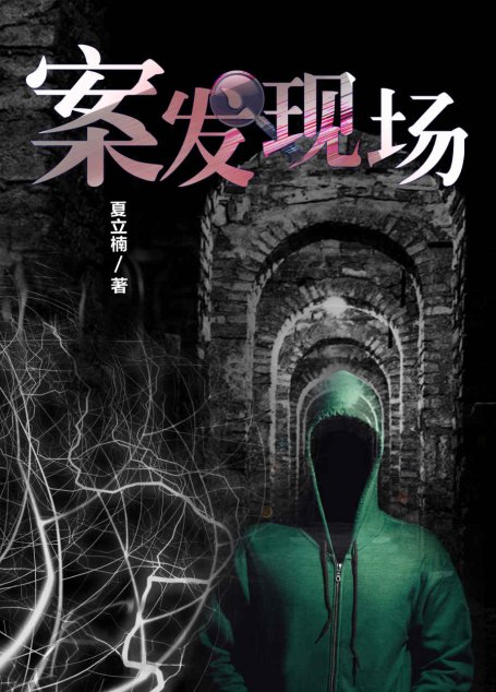 夏立楠《案发现场》合集