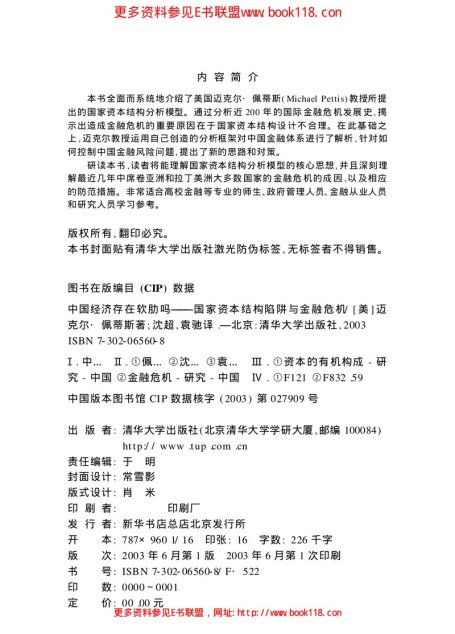 中国经济存在软肋吗：国家资本结构陷阱与金融危机