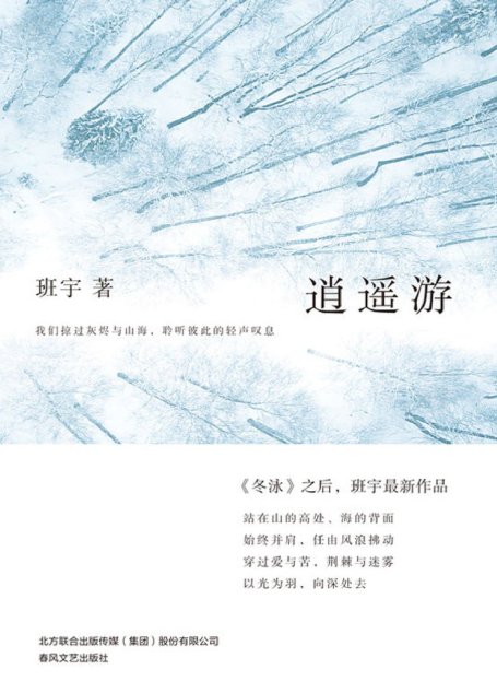 逍遥游（《冬泳》之后，班宇蕞新作品，书写被生活缓慢消耗的我们，那些真实的困顿与挣扎，穿过爱与苦，荆棘与烟雾，以光为羽，向深处去 理想国出品）