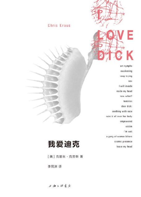 我爱迪克（一本艾玛·包法利自己写的《包法利夫人》）